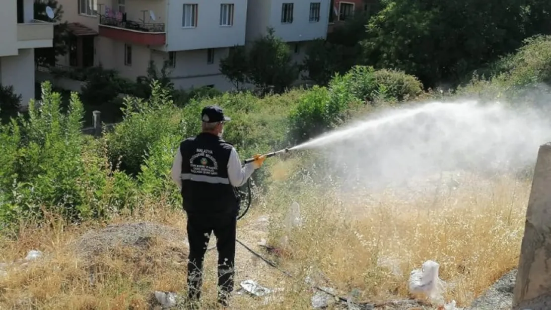 Haşereyle Mücadele Çalışmaları Malatya Genelinde Devam Ediyor