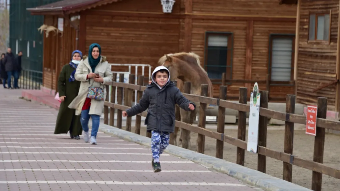 Hayvanat bahçesinde 78 türden 1.315 hayvan bulunuyor