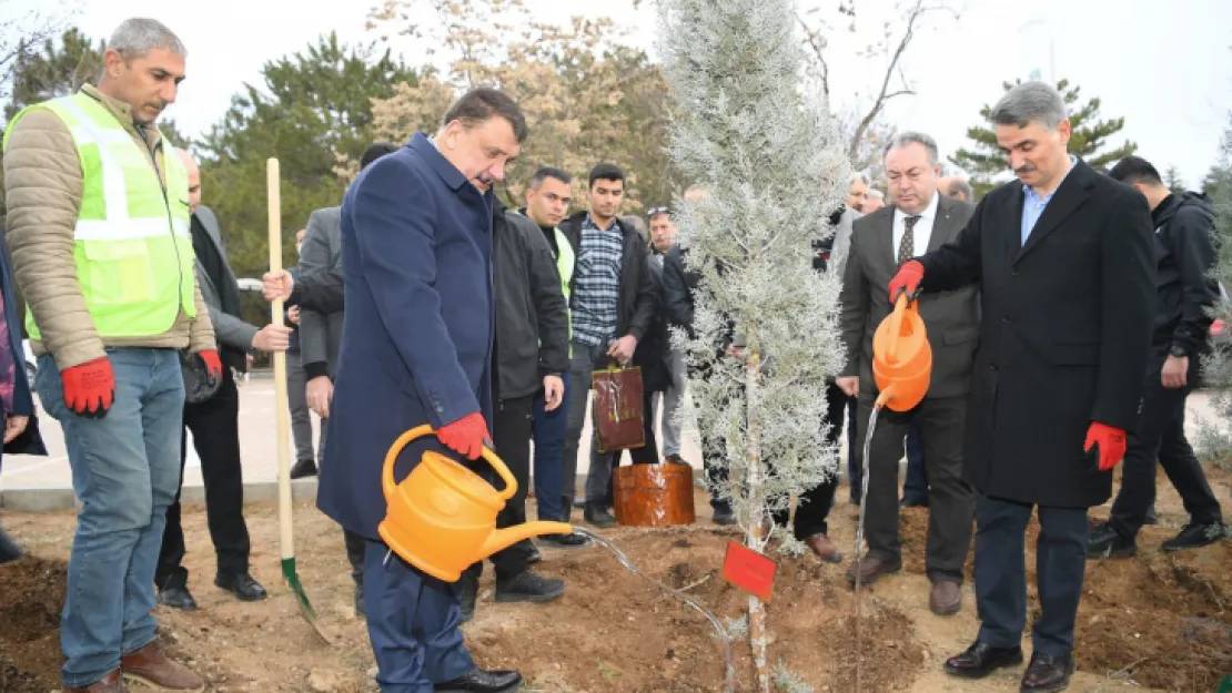 Hemşeri Dernekleri Orduzu Pınarbaşı'nda ağaç dikti