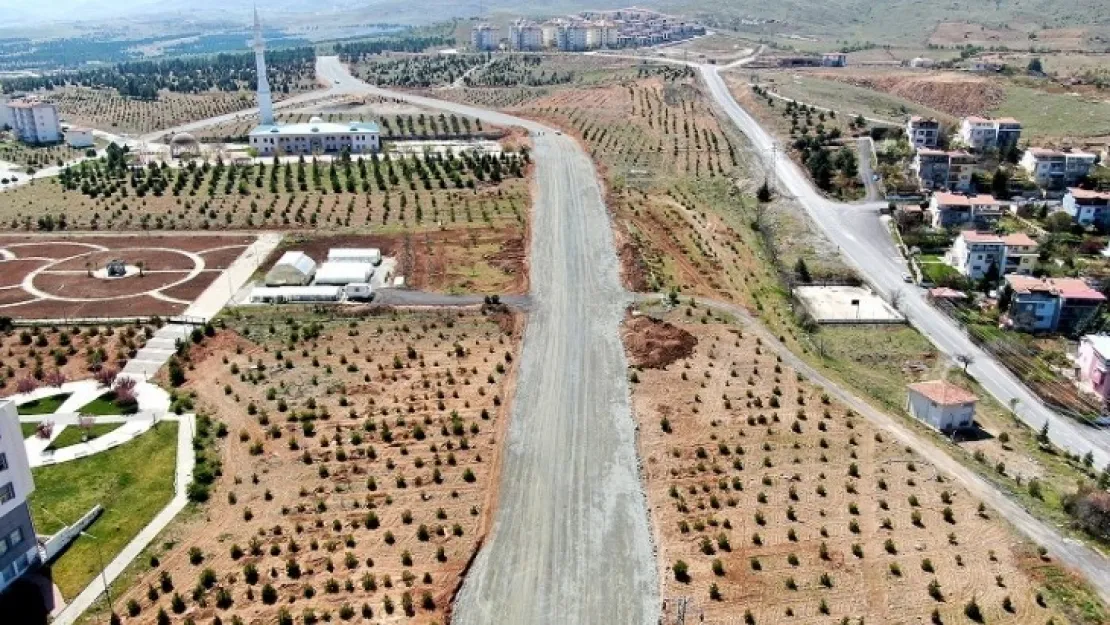 İnönü Üniversitesi İçerisinde 3 Km Uzunluğunda 40 Metre Genişliginde Yol Açıldı