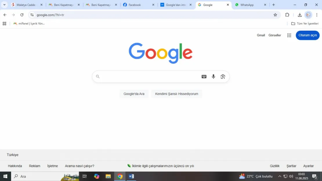 İnternet Sitelerinin Trafiğini Çökertiyor