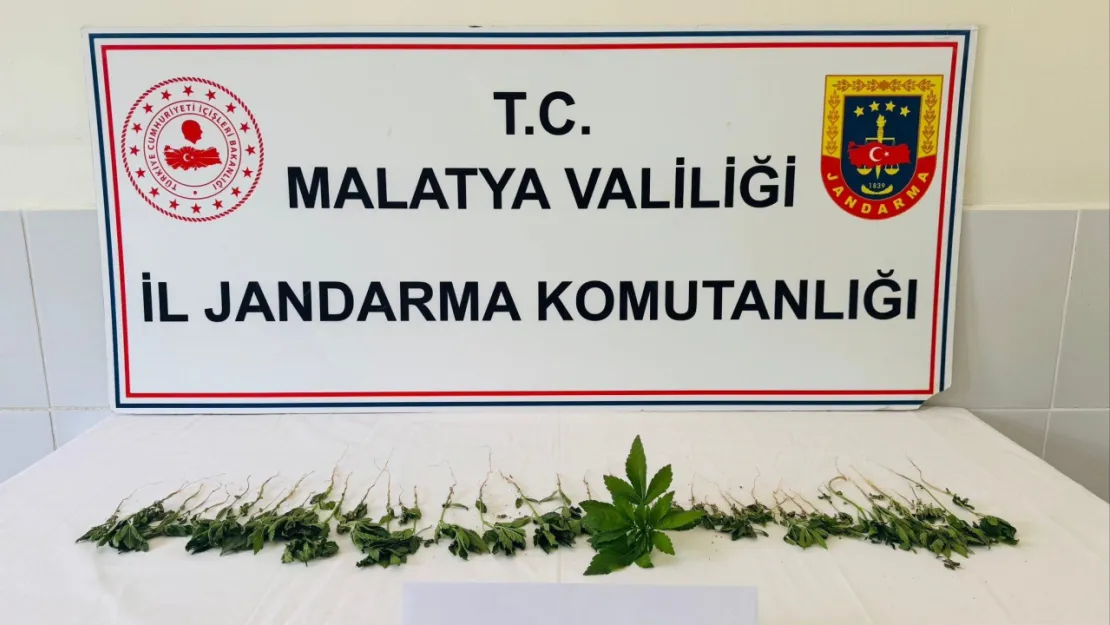 Jandarma'dan Battalgazi, Yeşilyurt, Akçadağ, Doğanşehir ve Darende İlçelerinde operasyon