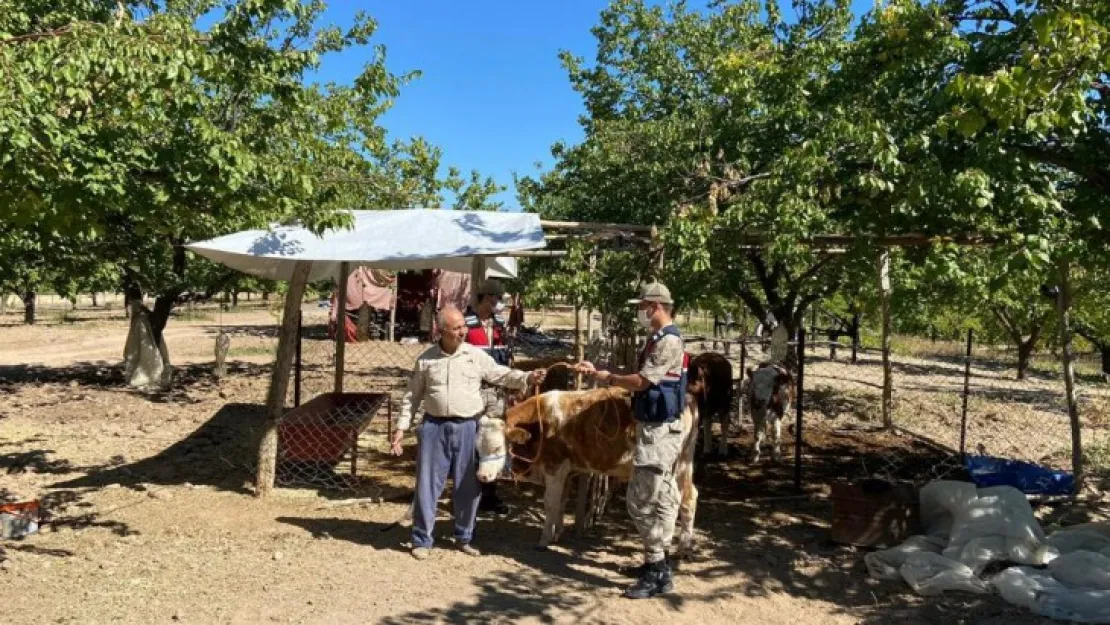 Jandarma Kayıp Hayvanları Dron İle Buldu