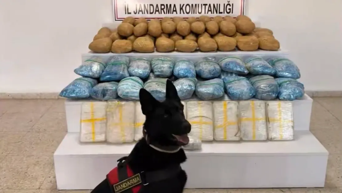 Jandarmadan Zehir Tacirlerine Darbe: 63 İlde Dev Operasyon