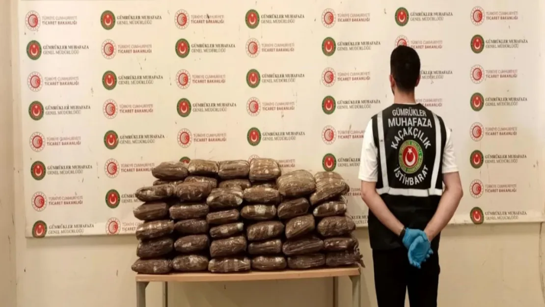 Kapıkule Gümrük Kapısı'nda 244 kilogram uyuşturucu ele geçirildi