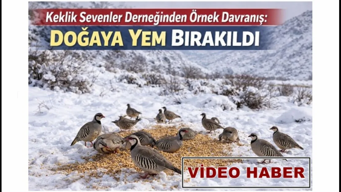 Kar Altında Yaşam Mücadelesi: Doğa Koruma Derneğinden Av Uyarısı