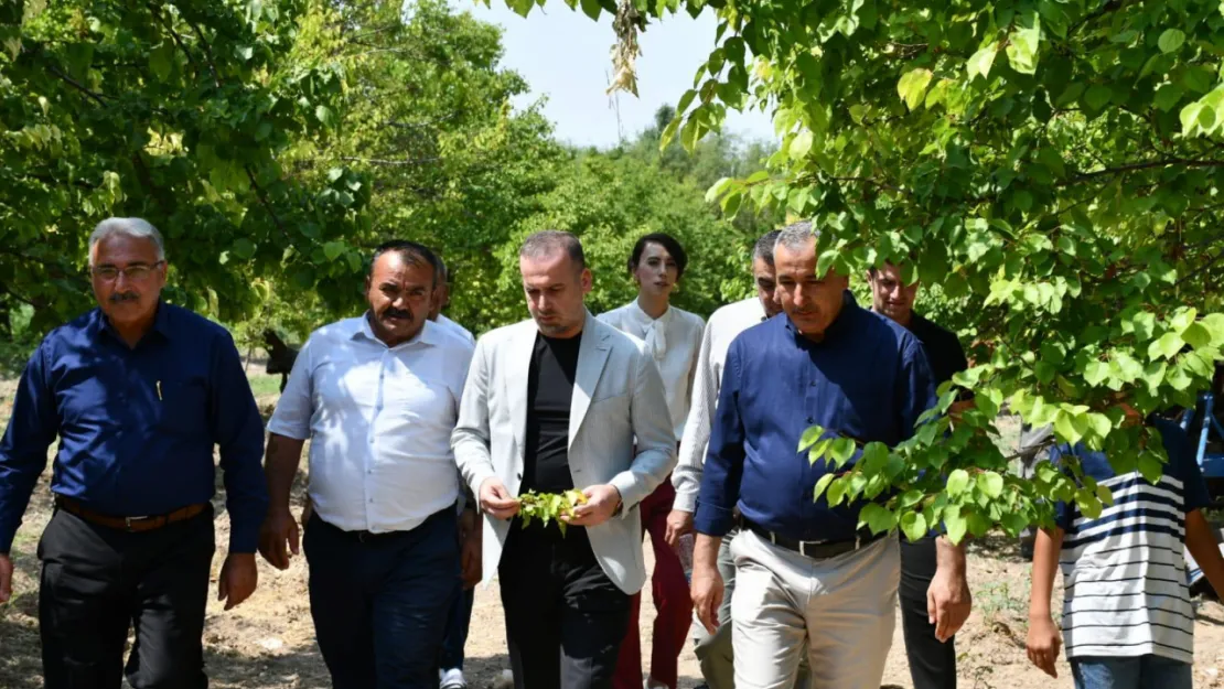Karademir'den Kayısı İçin Acil Destek Çağrısı