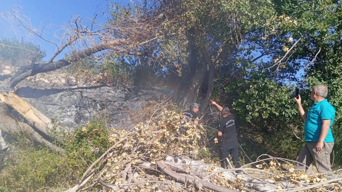 Kuluncak'ta elektrik hattı yangın paniğine neden oldu