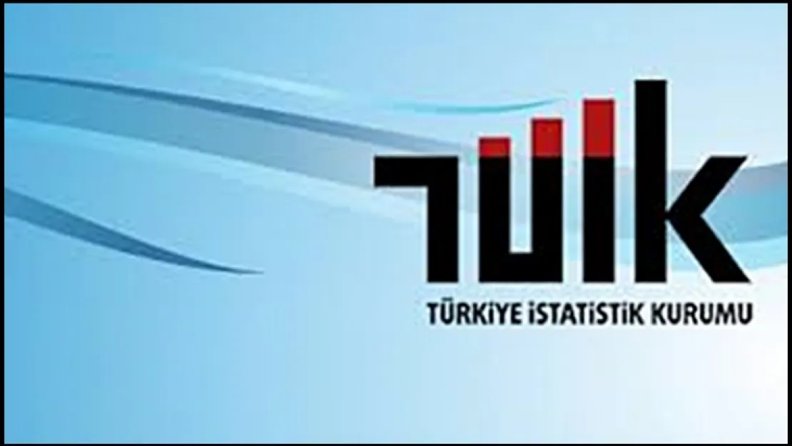 Lisans mezunlarında kayıtlı istihdam oranı 2022 yılında yüzde 71,7 olarak gerçekleşti