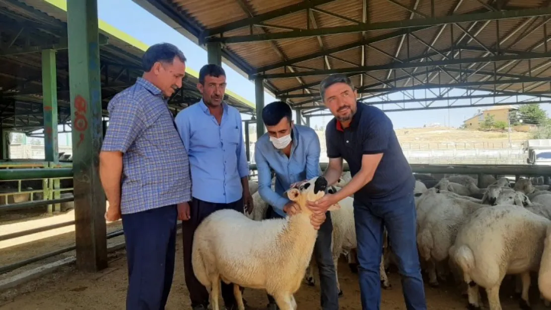 Malatya Çiftçisinin Zirai Kredi Borçları Ertelenmiyor