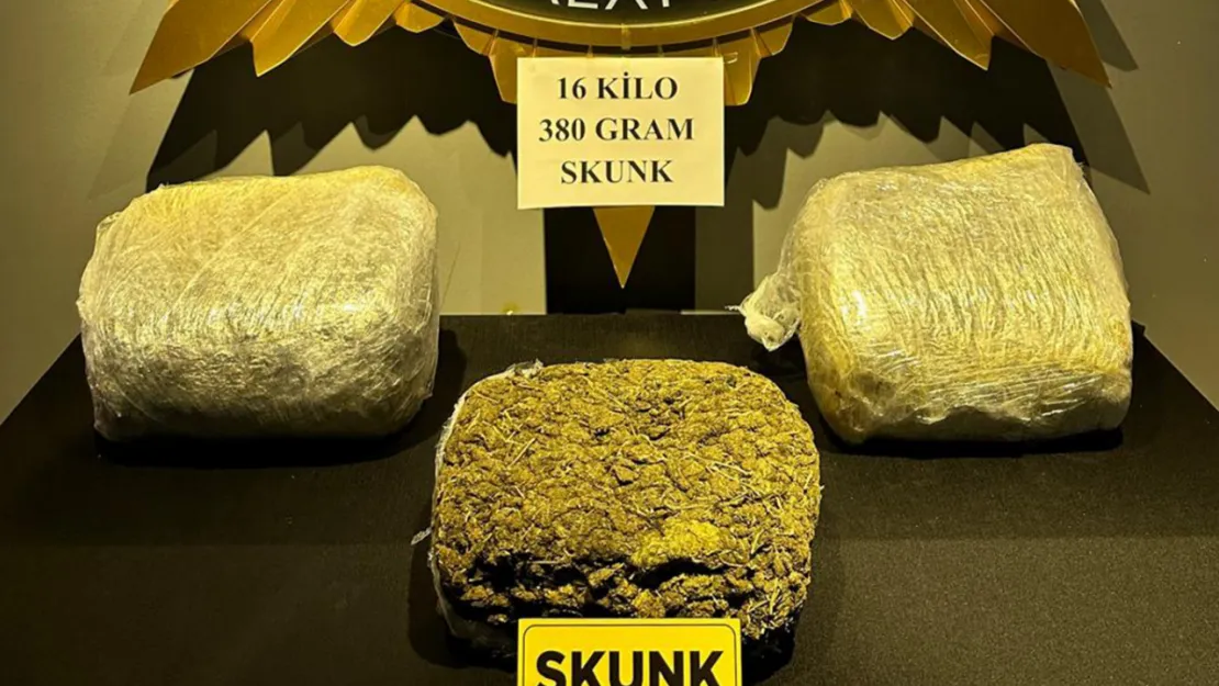 Malatya'da 16 kilogram 380 gram skunk ele geçirildi: 3 tutuklama