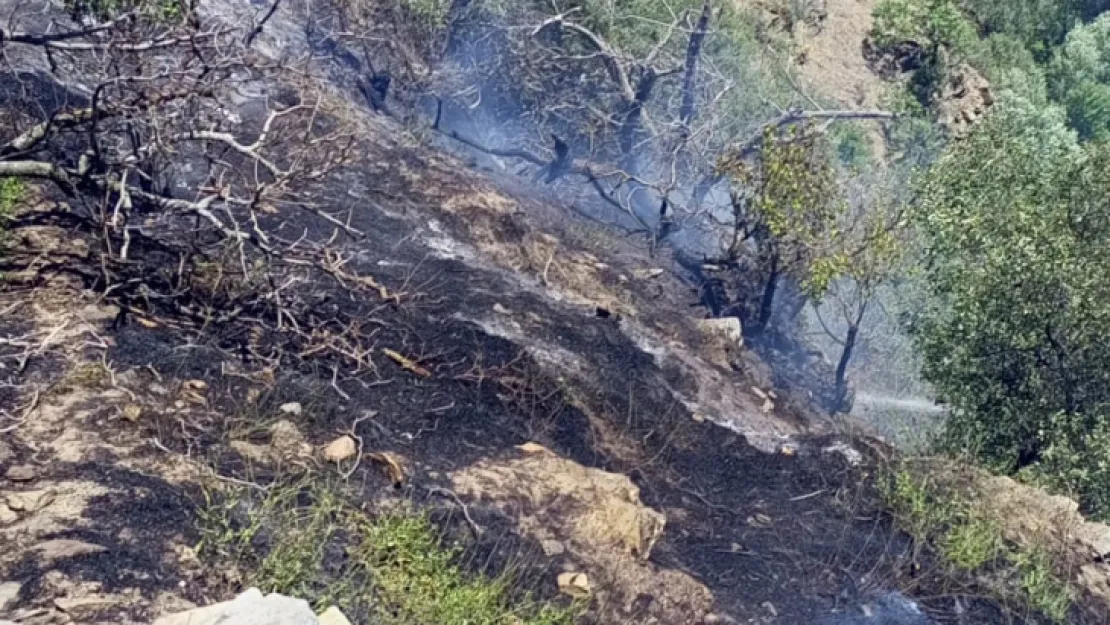 Malatya İtfaiyesi'nin bir başarısı daha