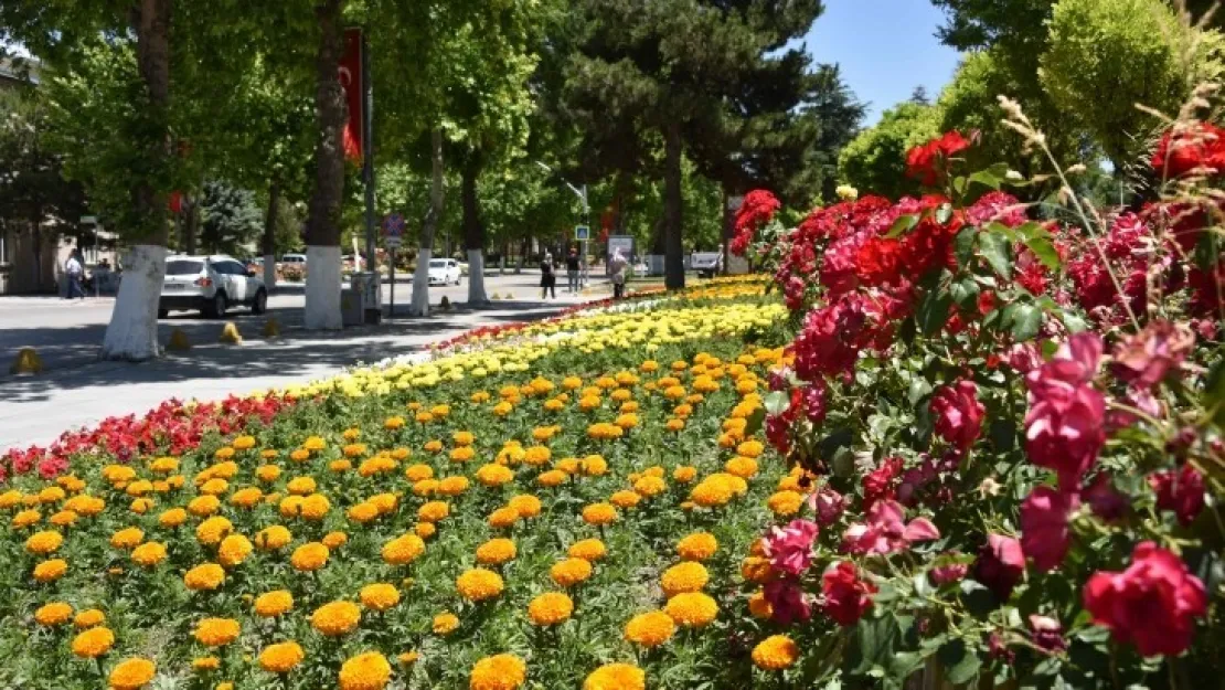 Malatya Rengârenk Görüntüye Bürünüyor