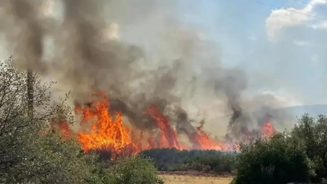 Mersin ve Hatay'da orman yangınları devam ediyor: 2 bin 966 kişi tahliye edildi