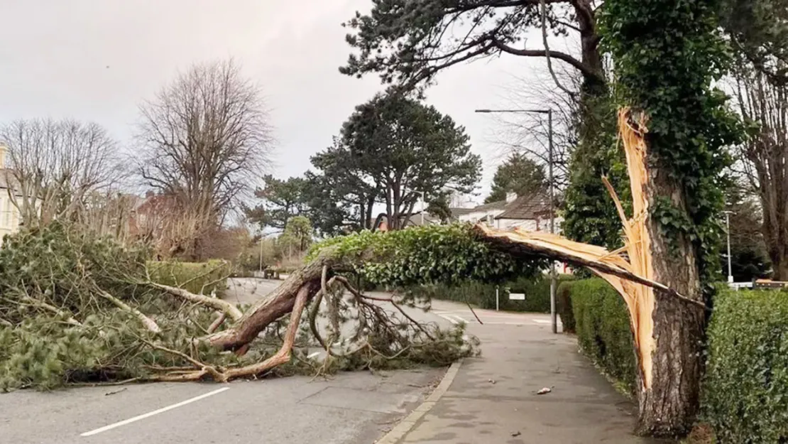 Meteoroloji uyardı: Kuvvetli rüzgâr birçok bölgede hayatı olumsuz etkileyebilir