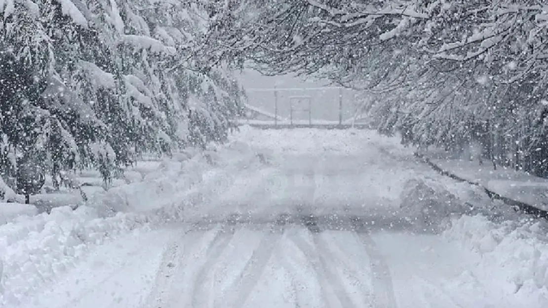 Meteorolojiden 2 kente 'yoğun kar' uyarısı