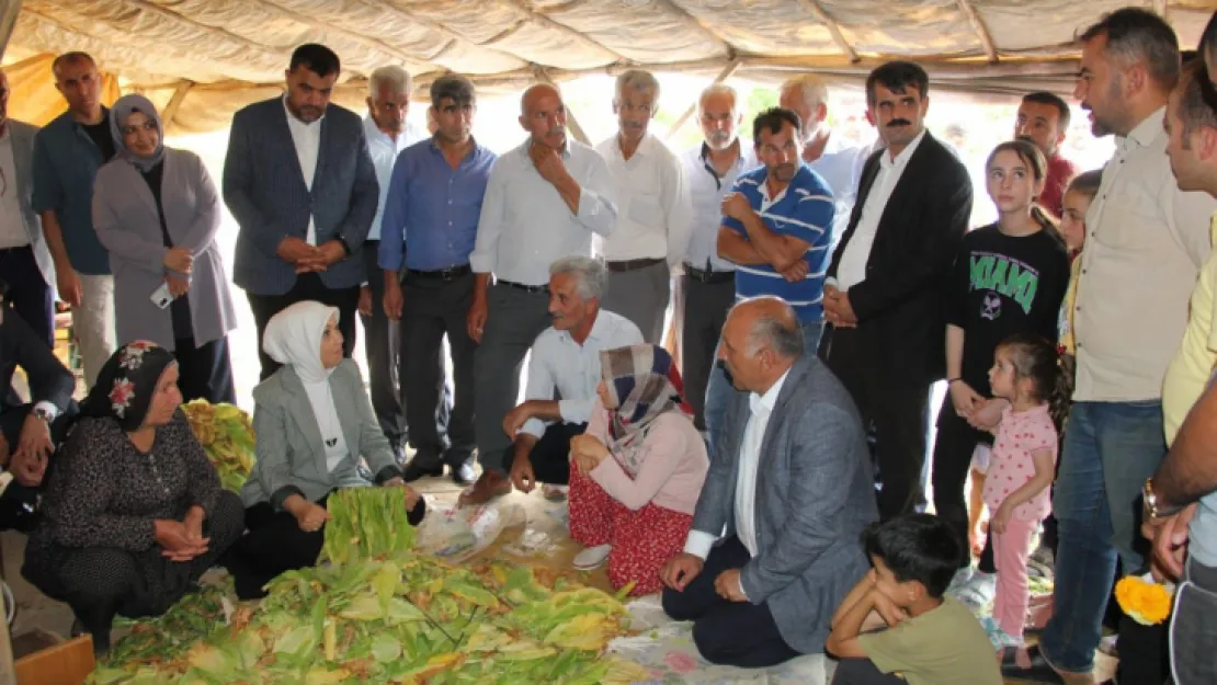 Milletvekili Çalık, çiftçilerin zararlarının tespiti için çalışmaların başlandığını söyledi.