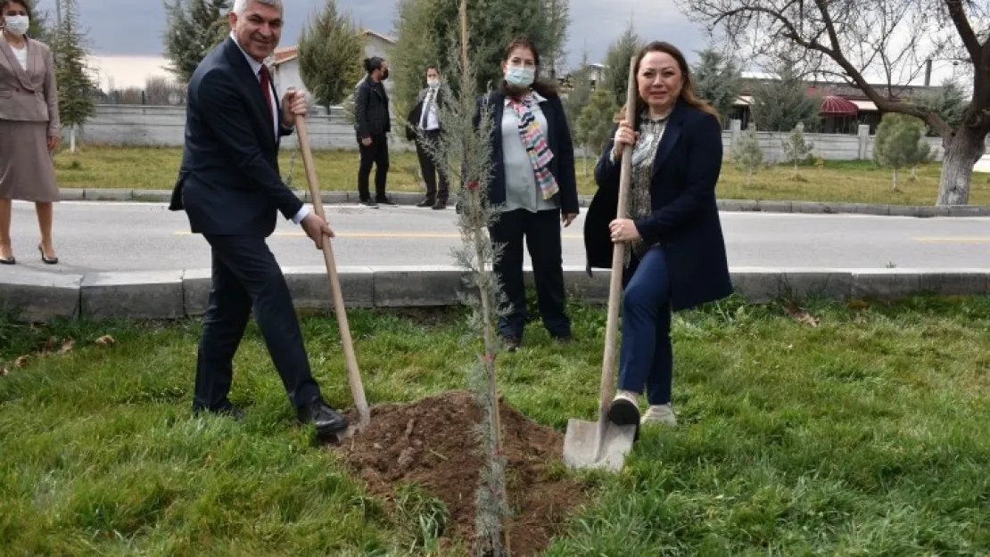 MTÜ'den Şehir Kültürü, Kitap ve Cumhurbaşkanlığı Millet Kütüphanesi Söyleşisi