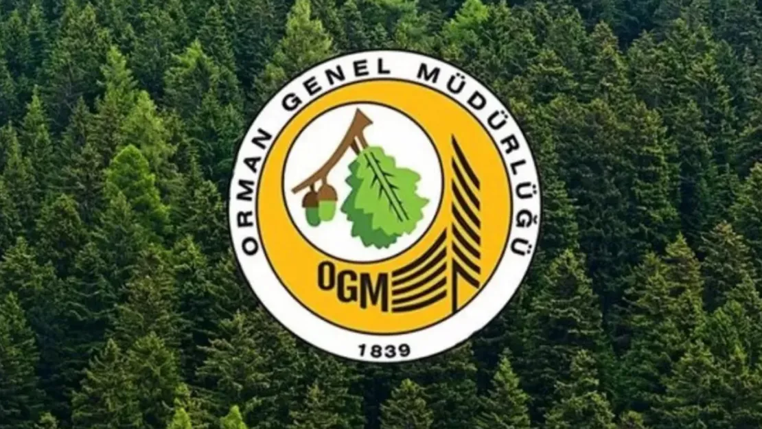 OGM'den hava araçları ve yanan orman alanlarıyla ilgili açıklama