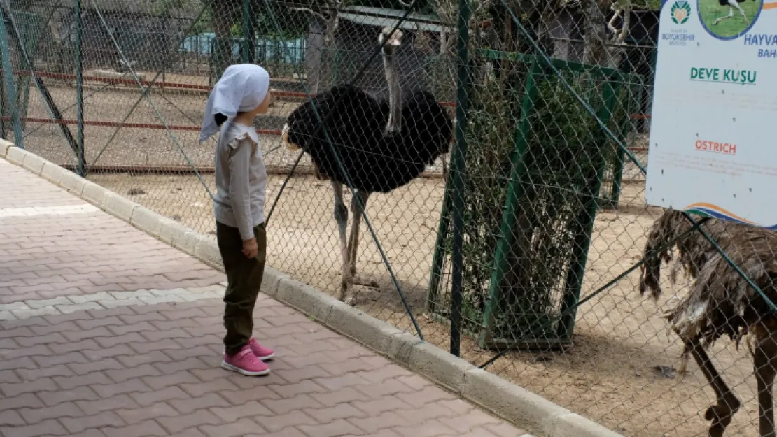 Orduzu Hayvanat Bahçesi, Kurban Bayramı süresince öğrencilere ücretsiz