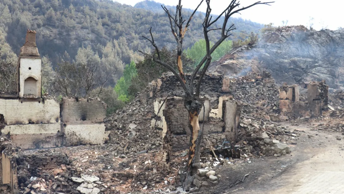 Orman yangınlarından etkilenenlere hane başına 162 bin TL'lik destek
