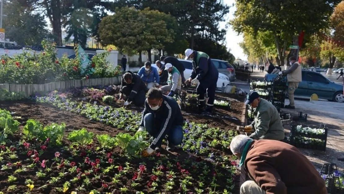 Parkları Mevsim Şartlarına Uygun Çiçekler Süslüyor