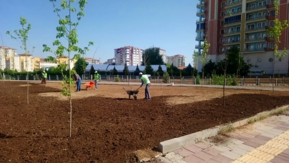 Parklarımızda Yine Keyifli ve Güzel Vakitler Geçireceğiz