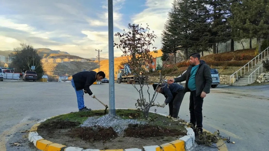 Peyzaj Ve Temizlik Çalışmaları Devam Ediyor