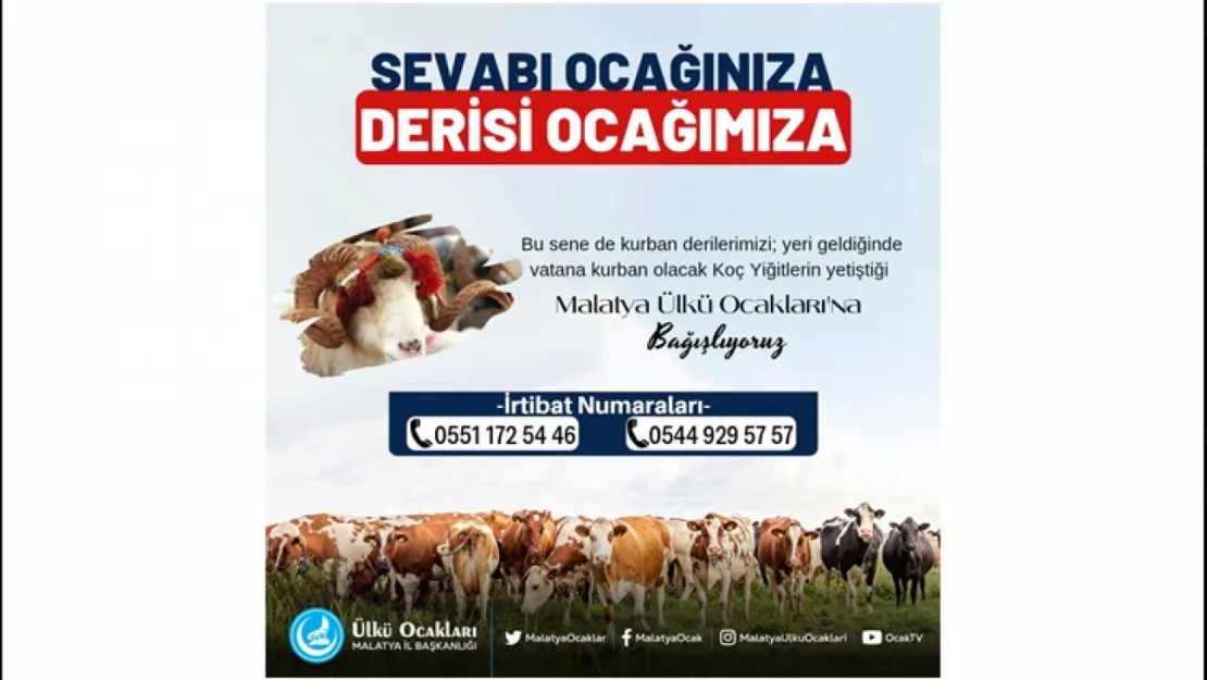 'Sevabı Ocağınıza, Derisi Ocağımıza' Çağrısı: Ülkü Ocakları'ndan Kurban Derisi Dayanışması