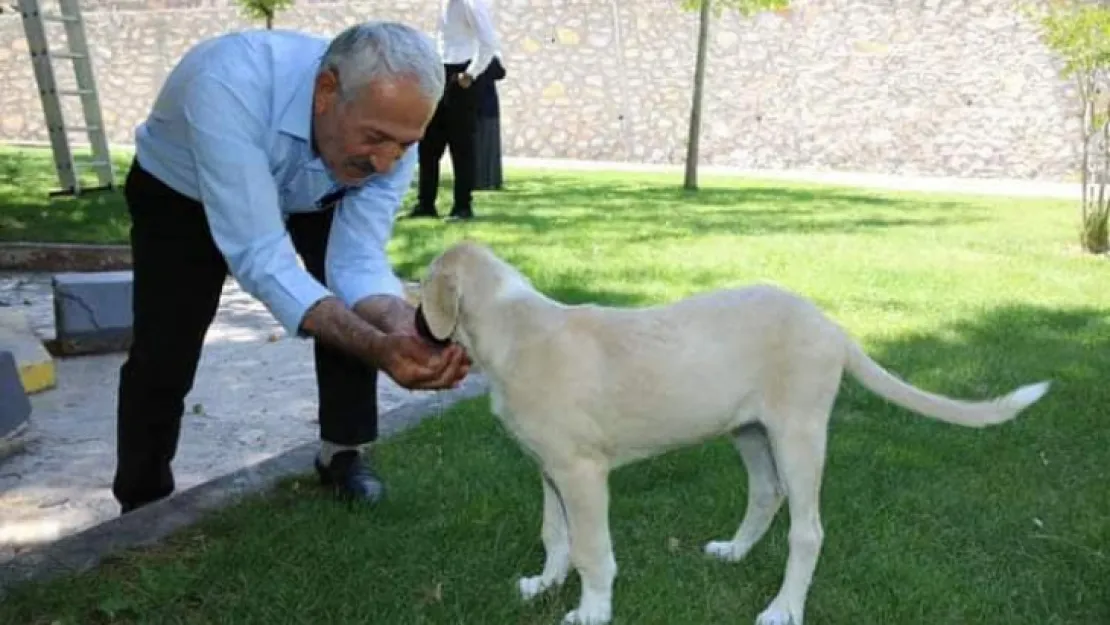 Sıcakta Can Dostlar Unutulmadı