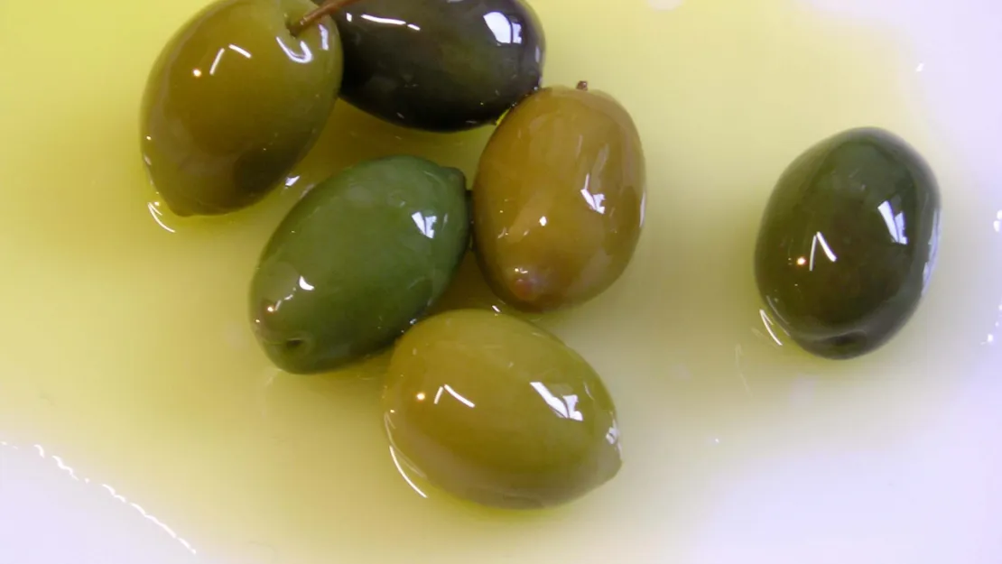 Sofralık zeytin ihracatı 250 milyon dolara koşuyor