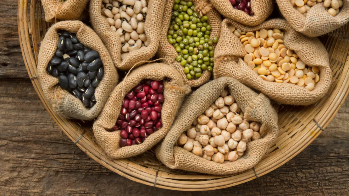 Soya ve Ayçiçek Yağı Zirvede: Ege Hububat İhracatçıları 148 Ülkeye Ulaştı