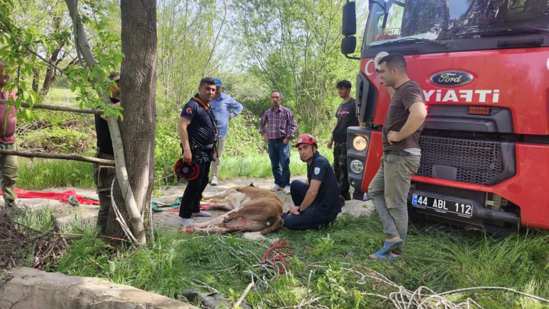 Su Kuyusuna Düşen İneği İtfaiye ekipleri kurtardı