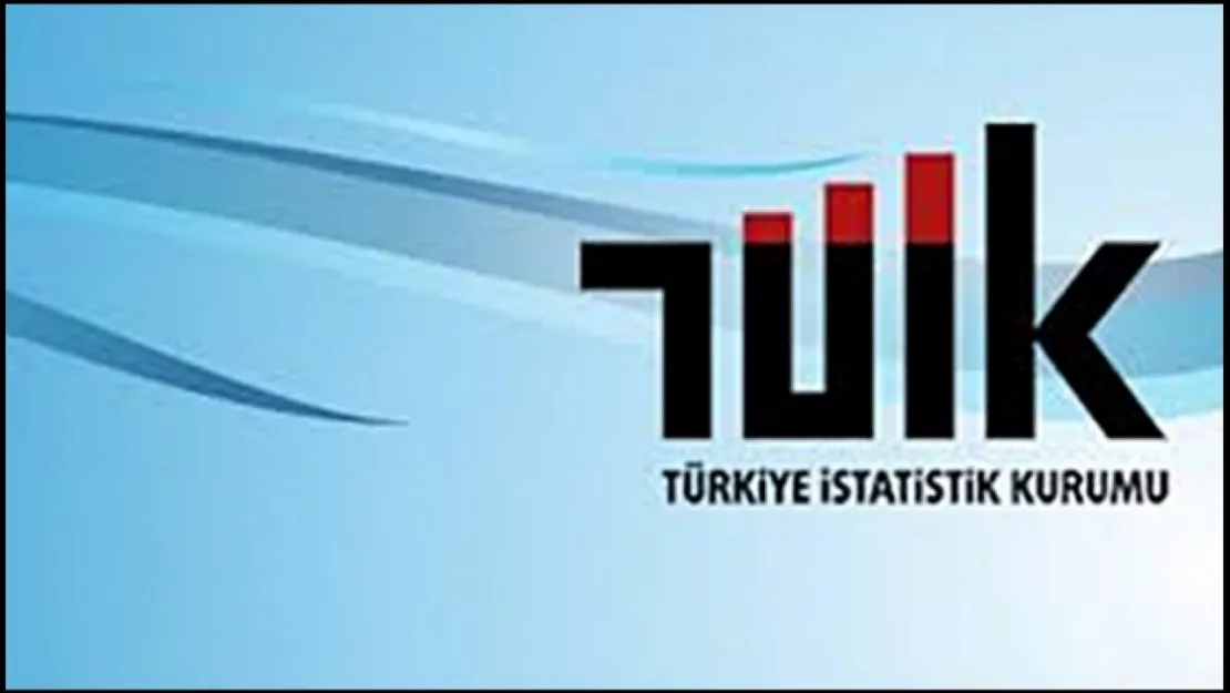 Tarımsal girdi fiyat endeksi (Tarım-GFE) yıllık yüzde 41,33, aylık yüzde 6,94 arttı