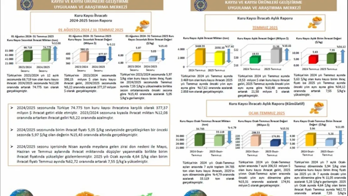 Temmuz 2025 dönemine ait Kuru Kayısı Dış Ticaret Raporu Yayımlandı