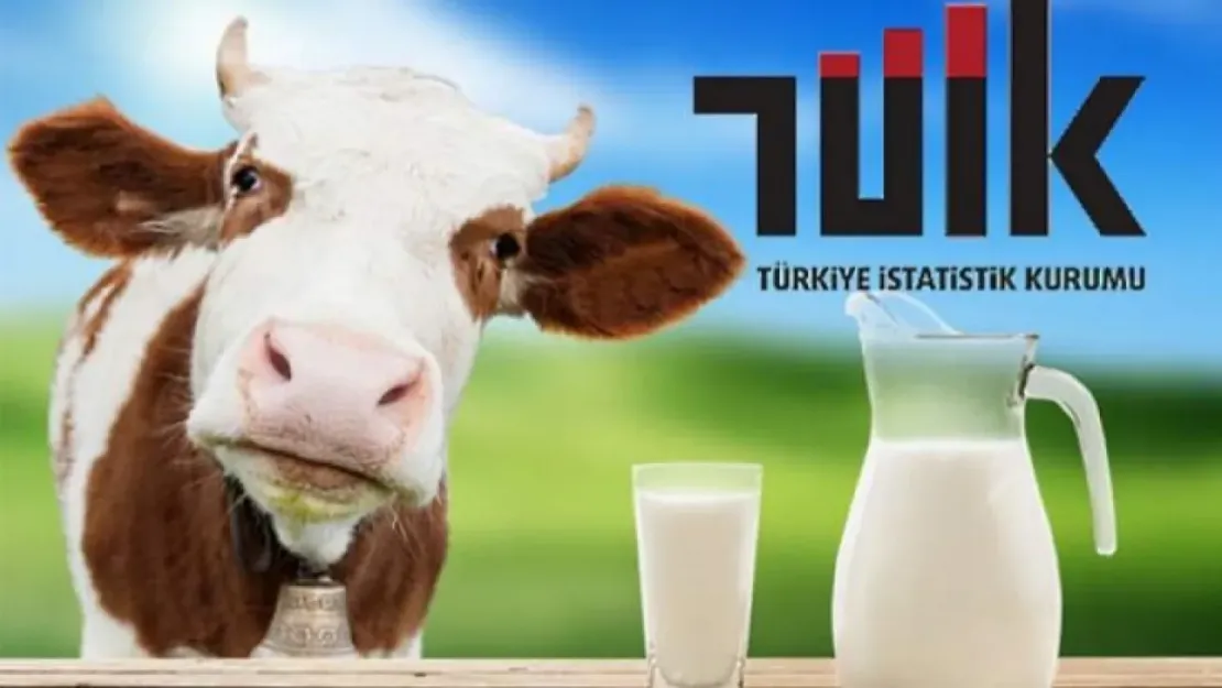 Ticari süt işletmelerince 1 milyon 14 bin 789 ton inek sütü toplandı