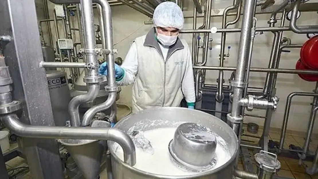 Ticari süt işletmelerince 934 bin 745 ton inek sütü toplandı