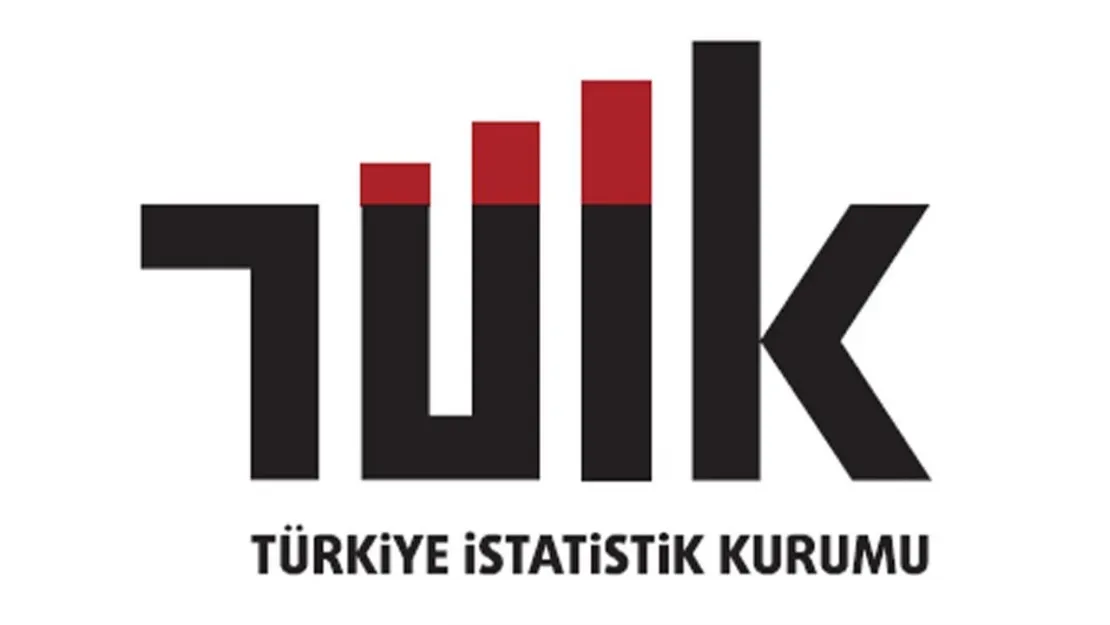 TÜİK açıkladı: 3 milyon 11 bin kişi işsiz