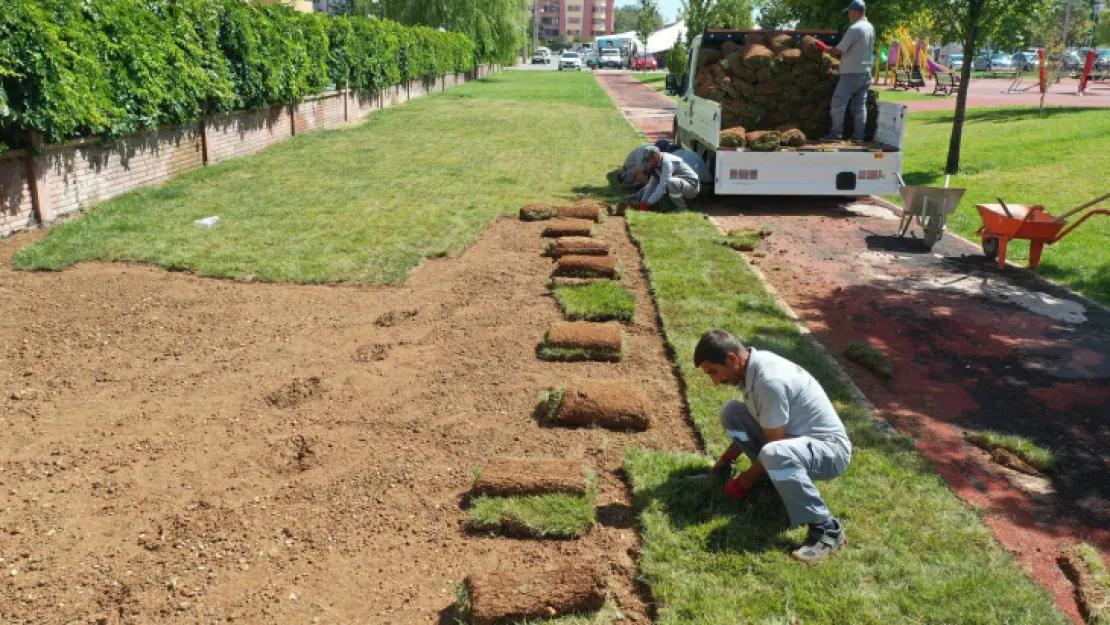 Üç Yılda 80 Bin Metrekare Rulo Çim Üretildi