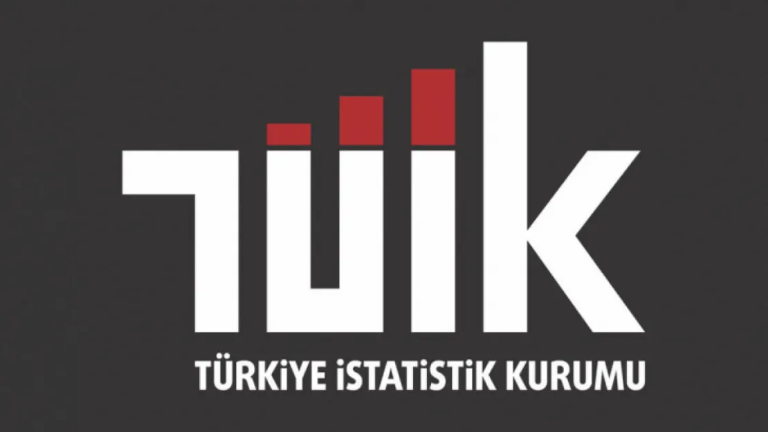 Ücretli çalışan sayısı yıllık yüzde 0,6 arttı