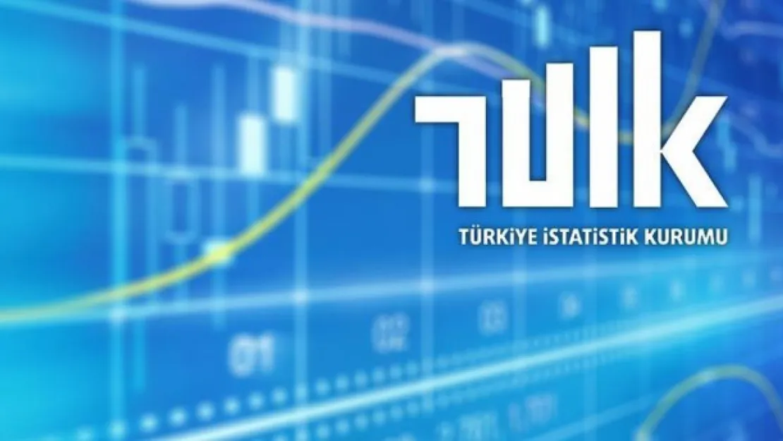 Ülkemizde Genel devlet açığının Gayrisafi Yurt İçi Hasıla'ya oranı 2022 yılında yüzde 2,1 oldu.