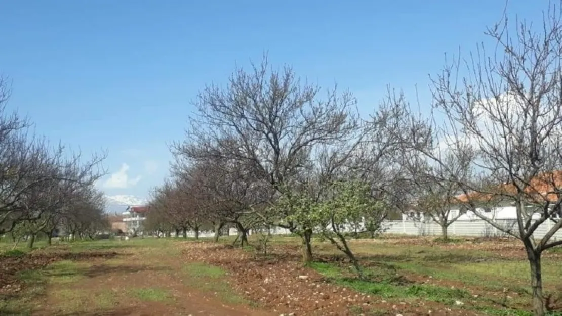 Üretici Dinlenmedi, Dilekçeler Alınmadı, Hasar Tespiti Yapılmadı