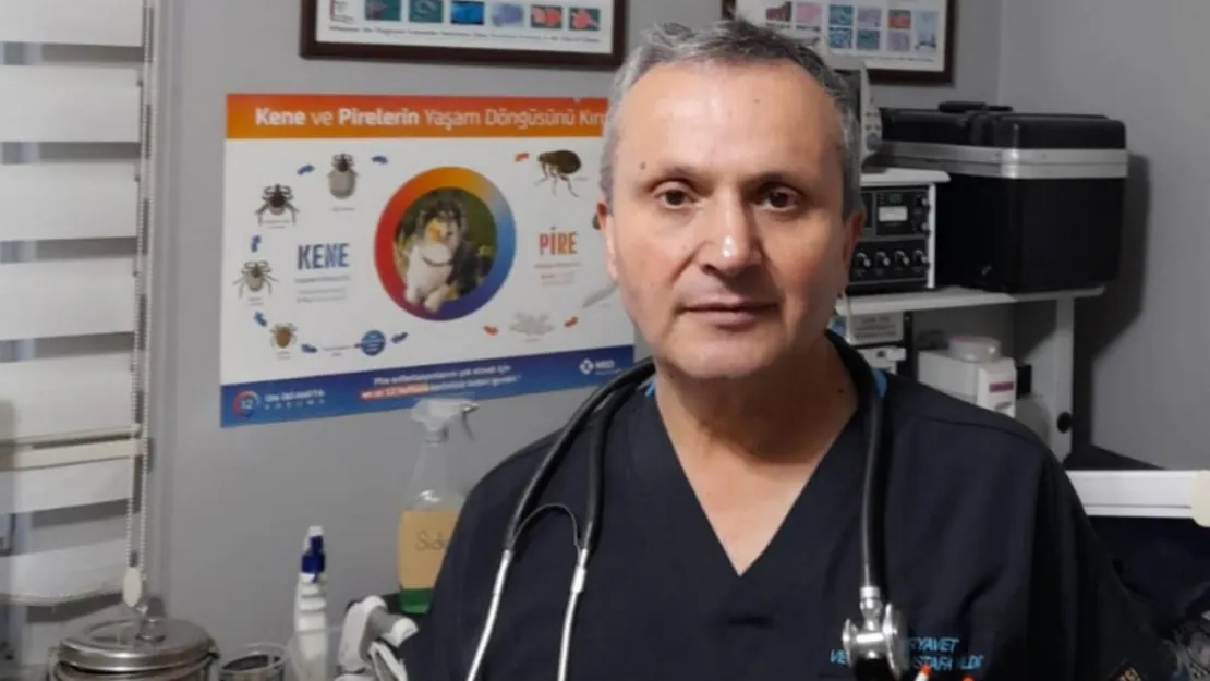 Veteriner Hekim Mustafa Yıldız: 'Dişi hayvanlar kurban edilmesin'