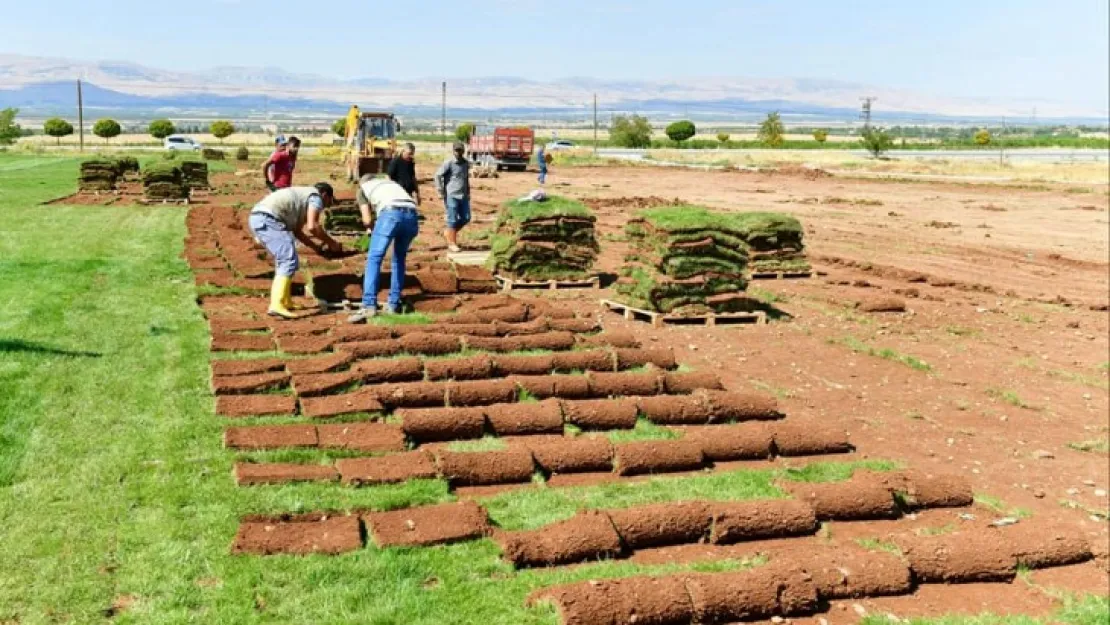 Yeşilyurt Belediyesi Rulo Çim Üretiminde Hedeflerinin Üzerine Çıktı