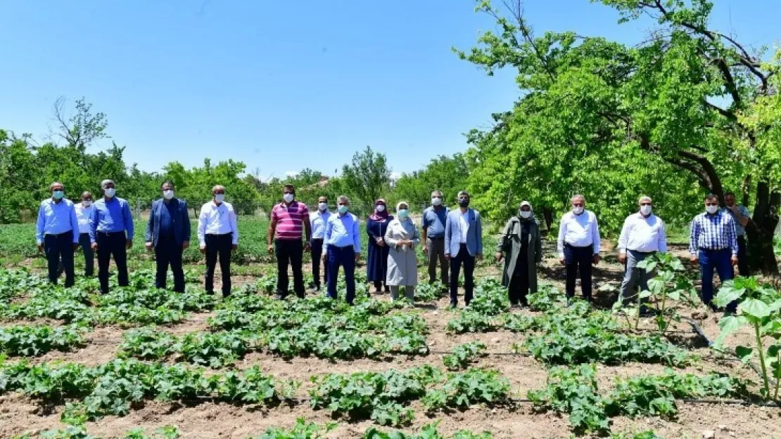 Yeşilyurt Belediyesi Ücretsiz Fide Dağıttı, Tarım Alanları Hareketlendi