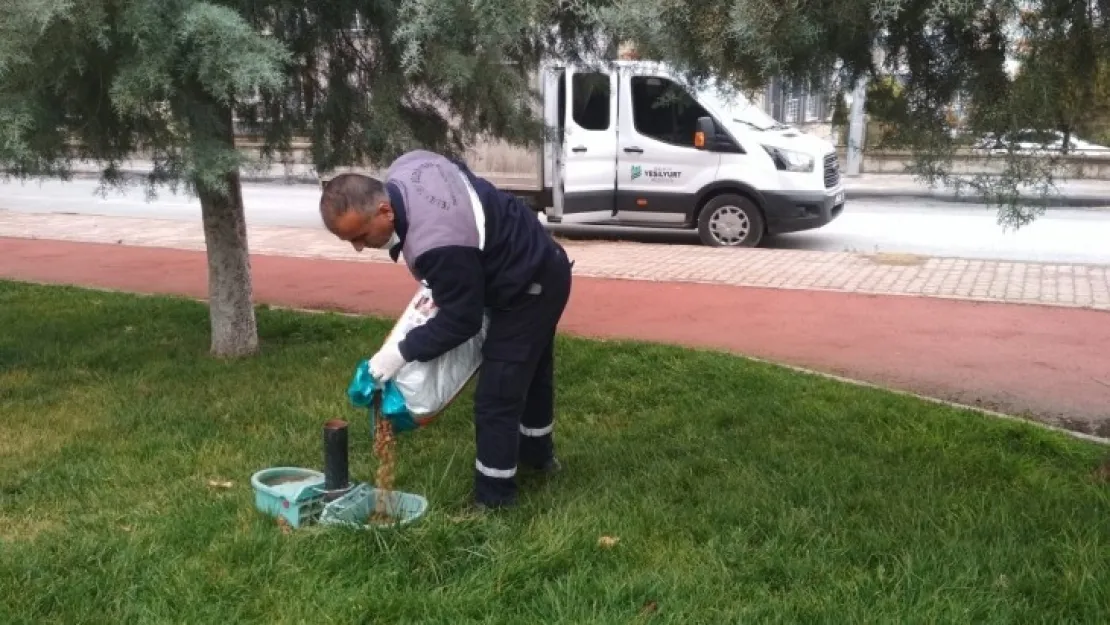 Yeşilyurt'ta Kısıtlamada Sokağa Çıkma Kısıtlamasında Belediye Ekipleri Sokak Hayvanlarına Mama Bıraktı.