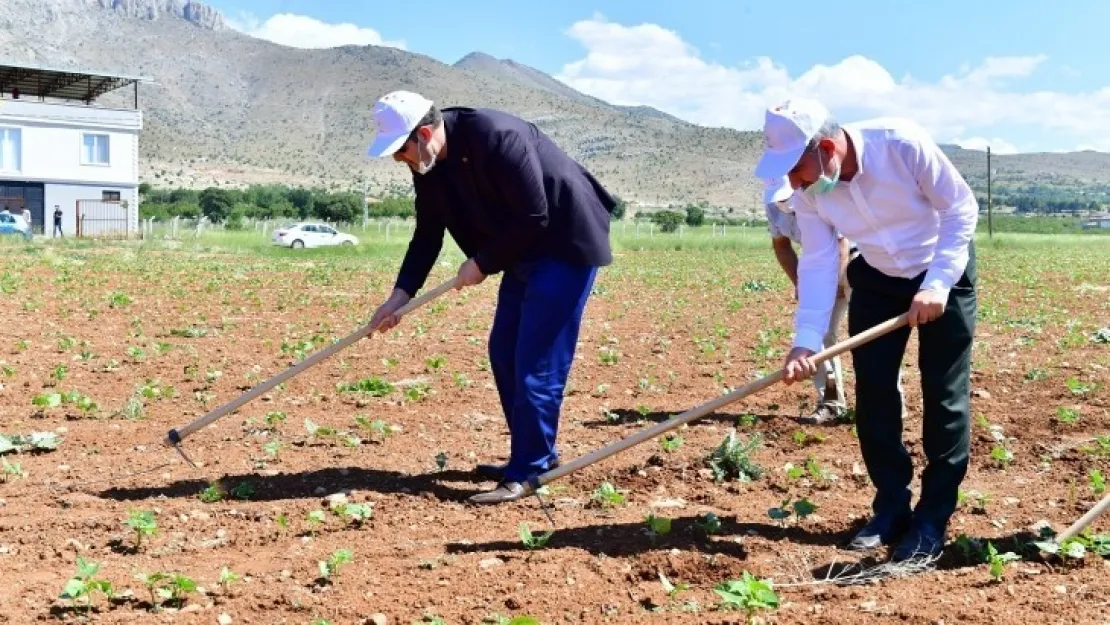 Yeşilyurt'ta Tarımsal Üretim Ve Ar-Ge Sahası Kurdu