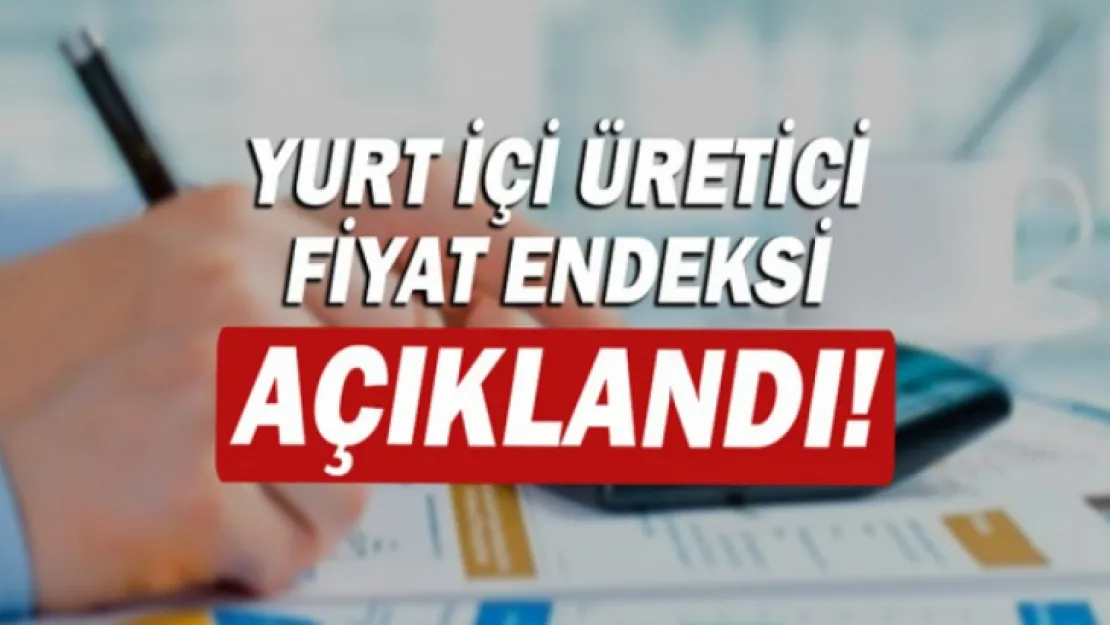 Yurt İçi Üretici Fiyat Endeksi yıllık yüzde 49,41, aylık yüzde 5,89 arttı