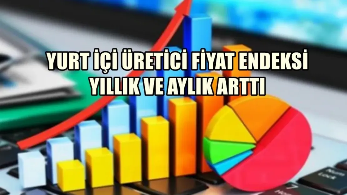 Yurt İçi Üretici Fiyat Endeksi Yıllık ve Aylık Arttı