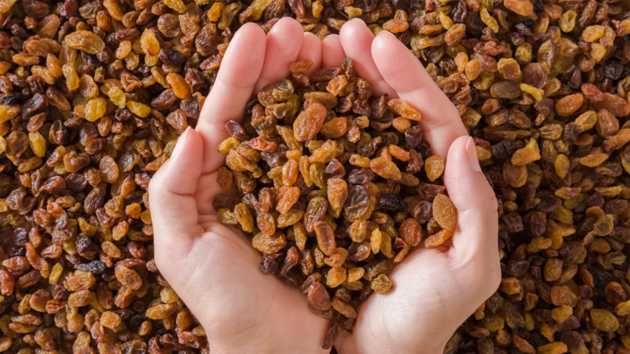 153 Bin Tonla Dip, 546,5 Milyon Dolarlık Dövizle Zirve